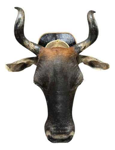 Decoração De Parede Cabeça De Boi Nelore Empalhada